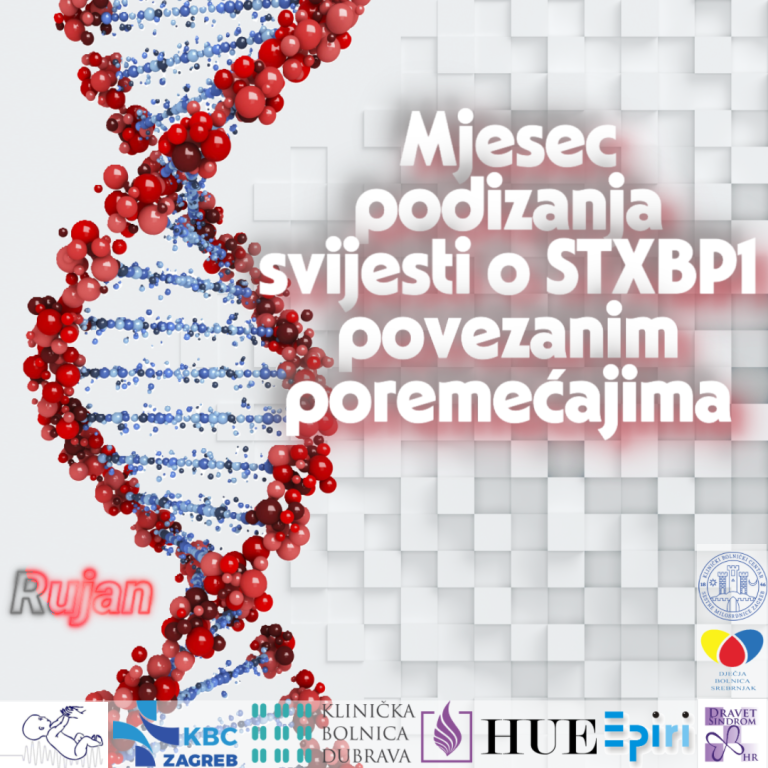 stxbp1